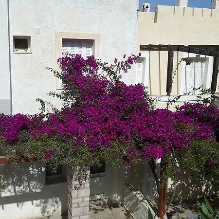 Apartment True Dionysos