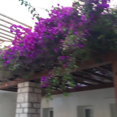 True Dionysos Apartment *